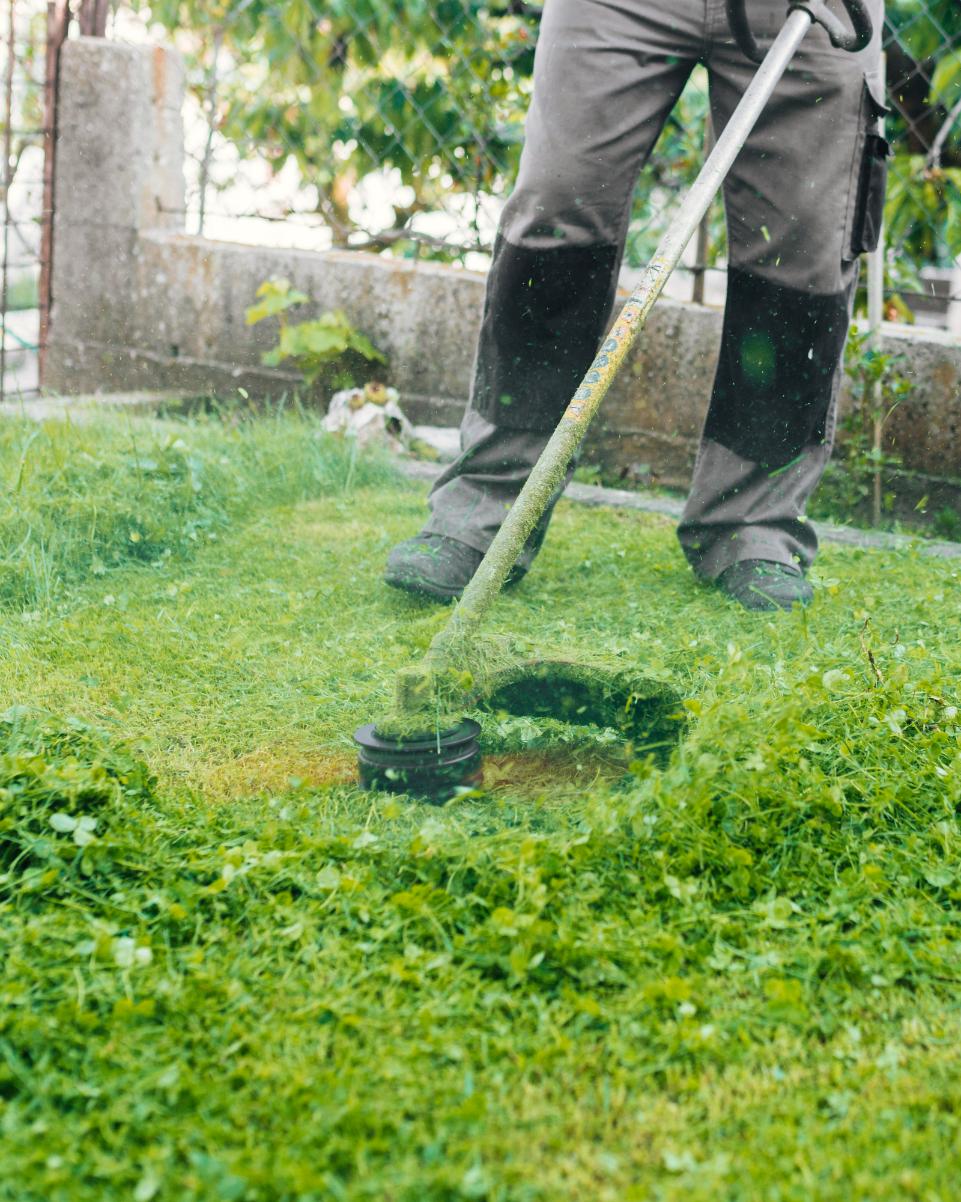 Travaux de taille et entretien d’espaces verts autour d’une maison