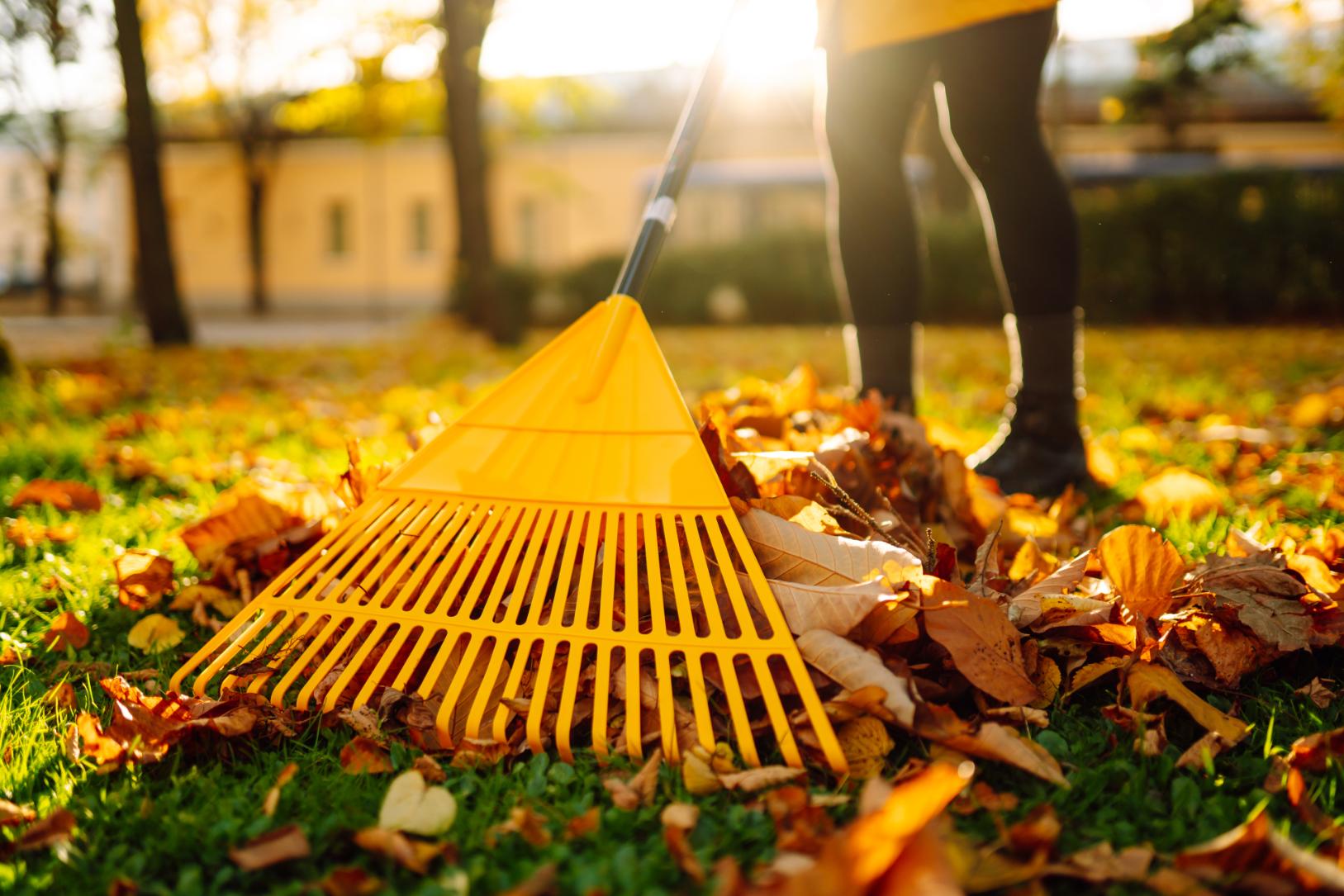 Professionnel réalisant l’entretien d’un jardin et des espaces verts